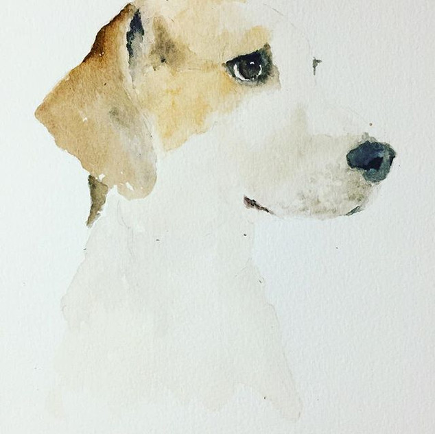 A watercolor portrait of a dog's head in profile, tan and white fur, painted on white paper; soft gentle mood
