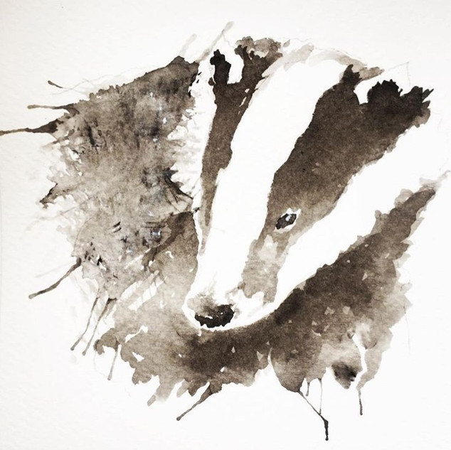 Watercolor painting of a badger's face in brown, black and white tones, artistic and rustic mood